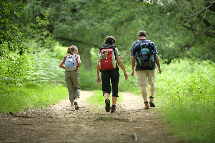 De Mooiste Bergwandelingen Van Nederland Vakantieblog